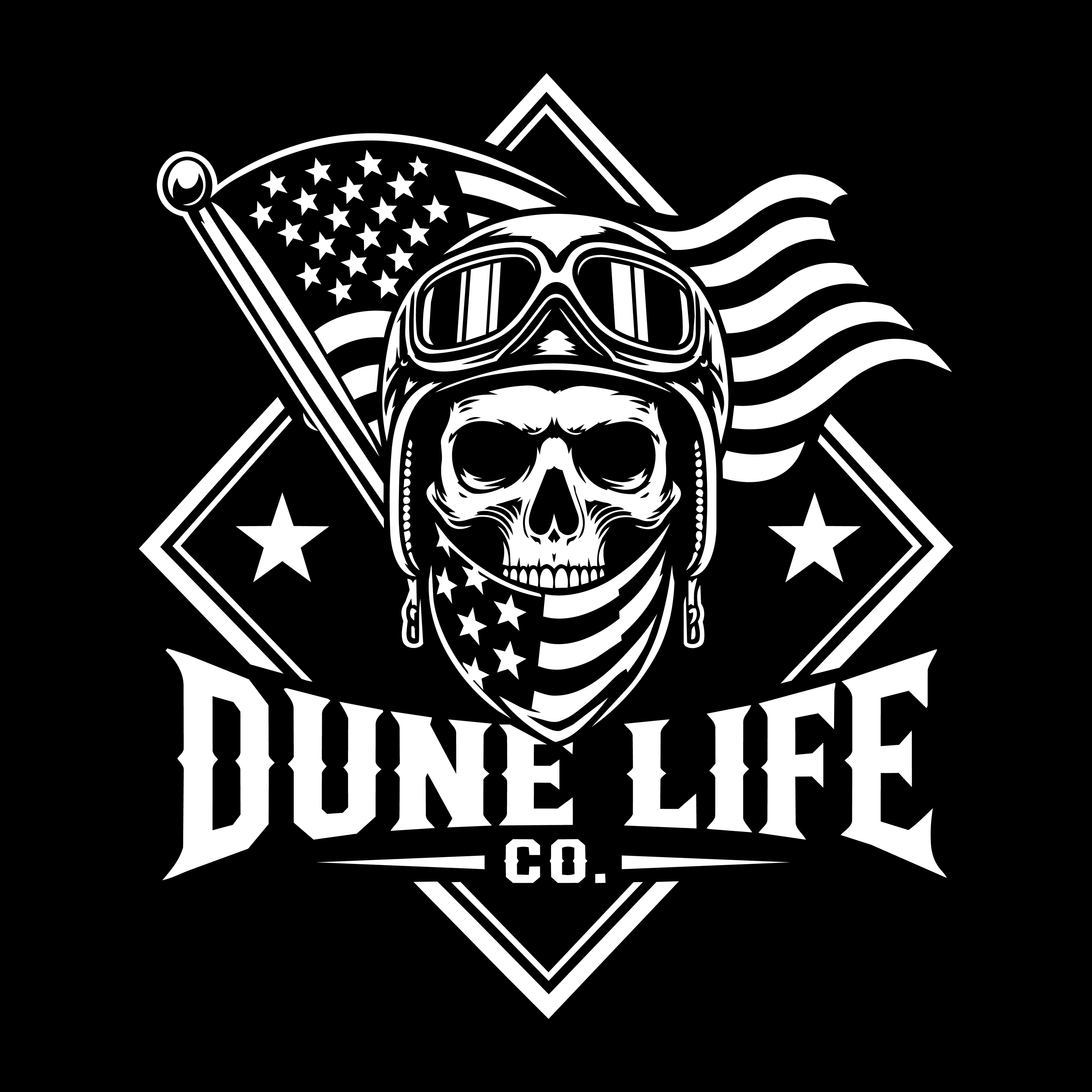 Custom Logo Design Service
